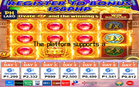 The platform supports a wide range of payment methods, including credit and debit cards, e-wallets, and bank transfers